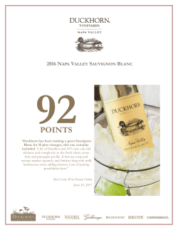 Wine Review Online 2016 DV Sauv Blanc 92 Points June 2017