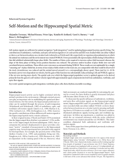 Self-Motion and the Hippocampal Spatial Metric