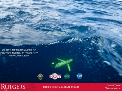 Glider Measurments of Phytoplankton Physiology in