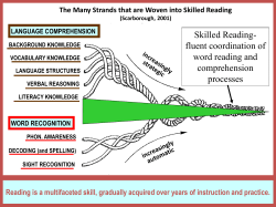 Rope Model of Skilled Reading (Scarborough)
