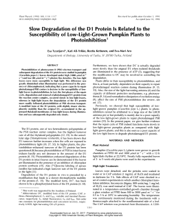 Susceptibility of Low-Light-GrownPumpkin Plants