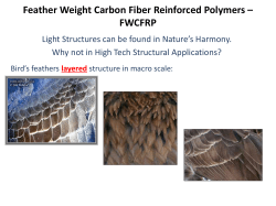 Feather Weight Carbon Fiber Reinforced Polymers &ndash; FWCFRP
