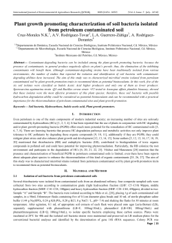 Plant growth promoting characterization of soil bacteria
