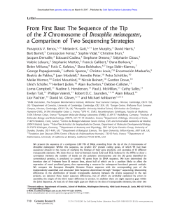 From First Base: The Sequence of the Tip of the X