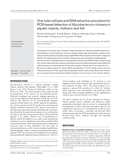 One-tube cell lysis and DNA extraction procedure for PCR