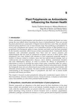 Plant Polyphenols as Antioxidants Influencing the