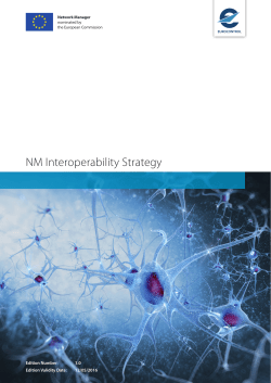 NM Interoperability Strategy