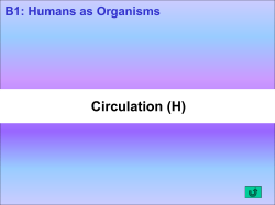 Circulation