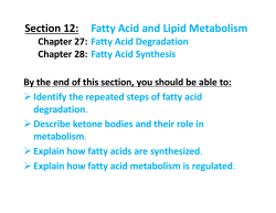 Section 12: Fatty Acid and Lipid Metabolism
