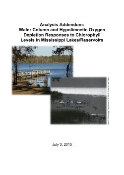 Analysis Addendum: Water Column and Hypolimnetic Oxygen