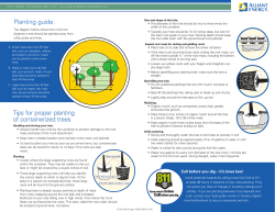Planting Guide for your Operation ReLeaf tree