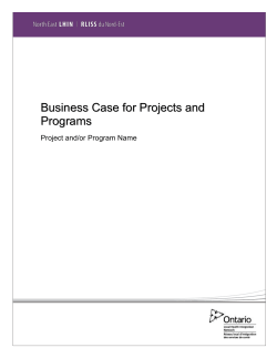 Business Case Template