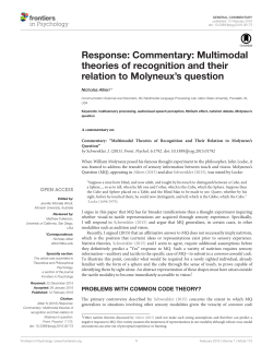 Commentary: Multimodal theories of recognition and their