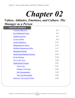 Chapter 02 Values, Attitudes, Emotions, and Culture