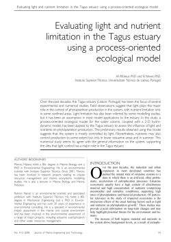 Evaluating light and nutrient limitation in the Tagus