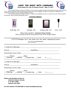 Light the Night with Luminaria