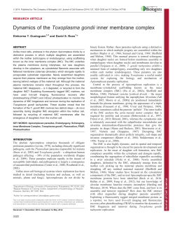 Dynamics of the Toxoplasma gondii inner membrane complex