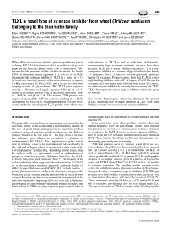 TLXI, a novel type of xylanase inhibitor from wheat (Triticum
