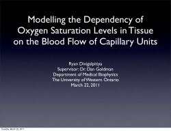 Modelling the Dependency of Oxygen Saturation Levels in Tissue