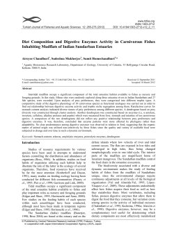 Diet Composition and Digestive Enzymes Activity in Carnivorous