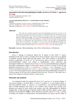 Anatomical and micromorphological studies on leaves of Salvia L