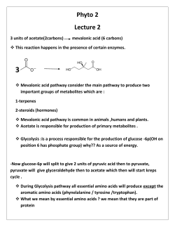 L01 Introduction And Terpenes