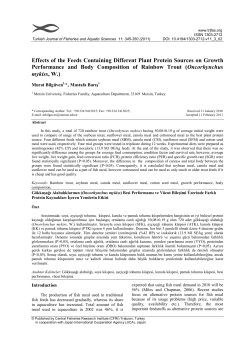 Effects of the Feeds Containing Different Plant Protein Sources on