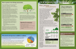 How to protect trees during construction