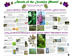 Attack of the Invasive Plants!