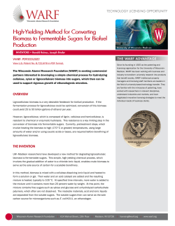 High-Yielding Method for Converting Biomass to Fermentable