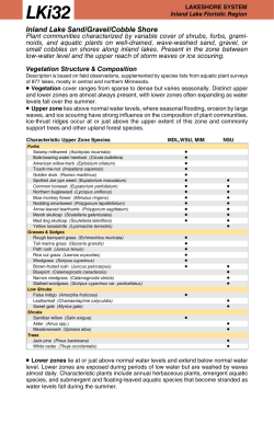 LKi32 Inland Lake Sand/Gravel/Cobble Shore