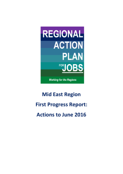 Mid East Region First Progress Report: Actions to June 2016