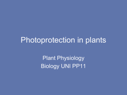 Photoprotection