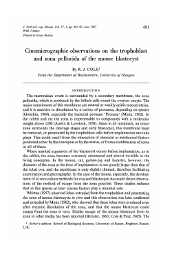Cinemicrographic observations on the trophoblast