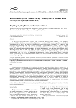 Antioxidant Enzymatic Defences during Embryogenesis of Rainbow