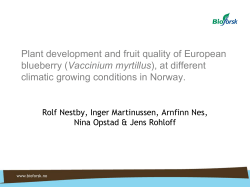 Plant development and fruit quality of European blueberry