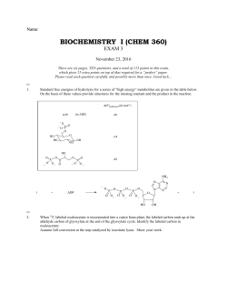biochemistry i (chem 360)