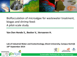 Bioflocculation of microalgae for aquaculture wastewater