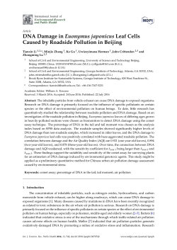 DNA Damage in Euonymus japonicus Leaf Cells Caused by
