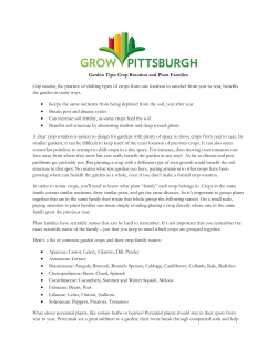 Garden Tips: Crop Rotation and Plant Families