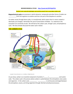 the carbon cycle