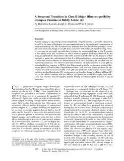 A Structural Transition in Class II Major Histocompatibility Complex