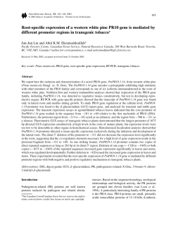 Root-specific expression of a western white pine PR10 gene is