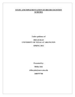 Final Rep. - The University of Texas at Arlington