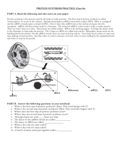 PROTEIN SYNTHESIS PRACTICE: Class Set PART A. Read the