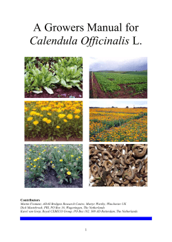 Growers Manual for Calendula Officinalis L.