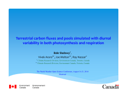 Terrestrial carbon fluxes and pools simulated with diurnal