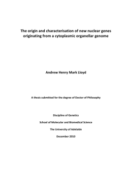 The origin and characterisation of new nuclear genes originating