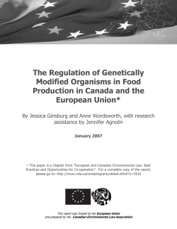 The Regulation of Genetically Modified Organisms in Food