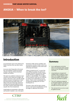 anoxia &ndash; when to break the ice? introduction